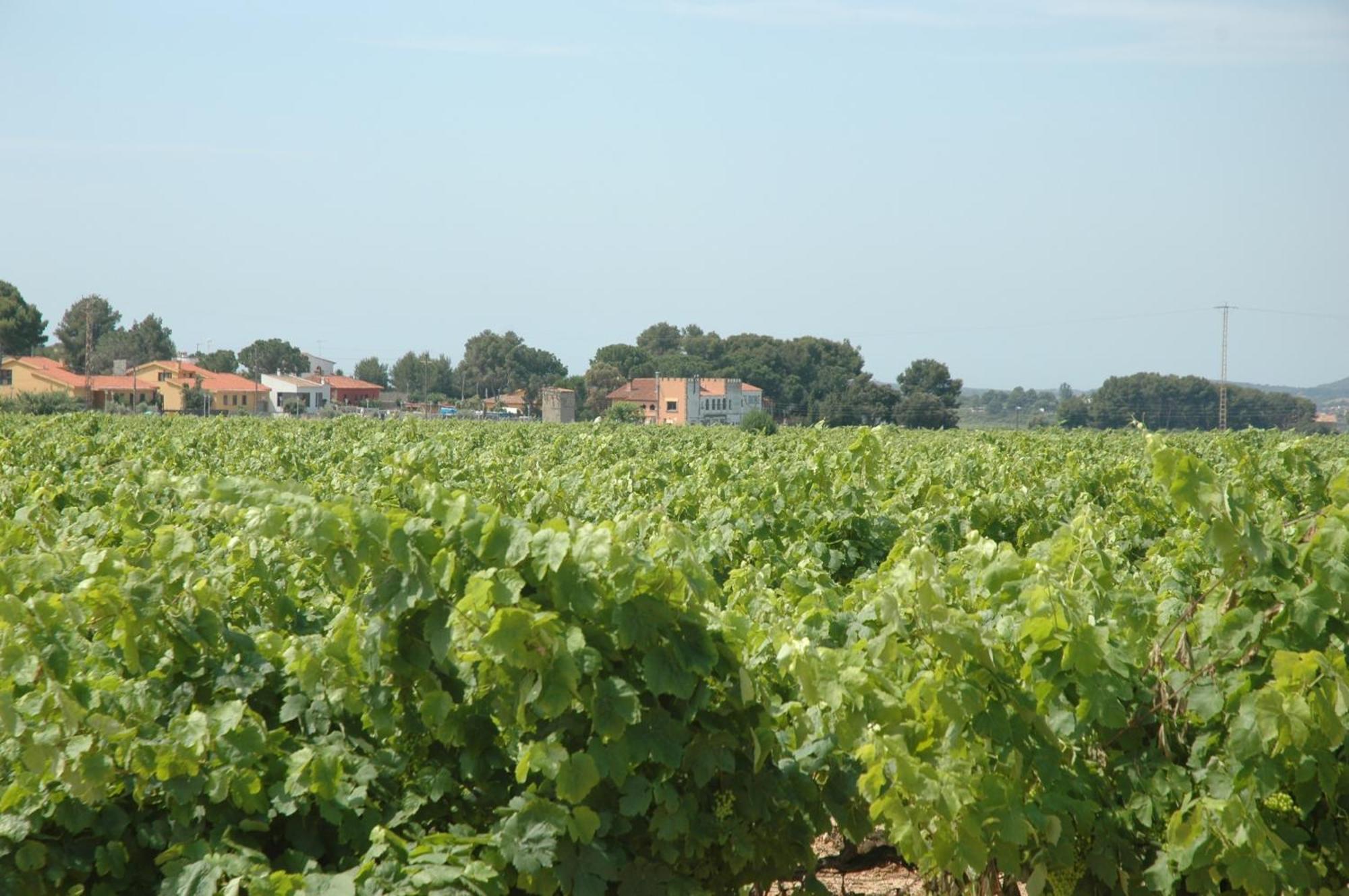 Hotel Restaurant El Bosc Banyeres del Penedes ภายนอก รูปภาพ